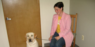 Labrador Retriever