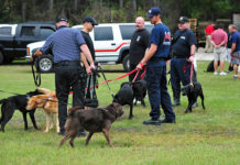 Labrador Retriever Police Dogs