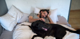 Labrador retriever traits